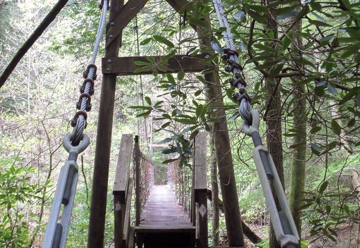 Suspension bridge